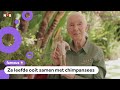 Barbie gemaakt van bekende apenonderzoeker (88)