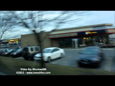 A Ride on CITSO 689(33)1 [HD]