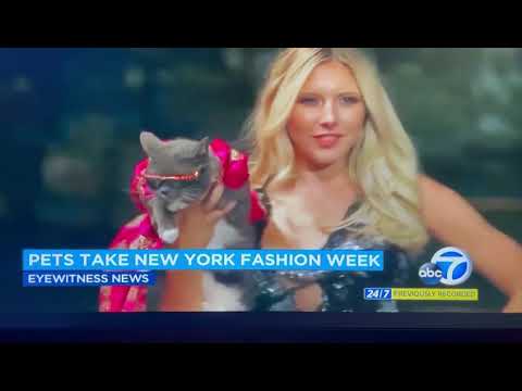 Anthony Rubio segment on ABC News NYFW, Canine Couture, Women's Wear, Spring Summer 2023 shorts