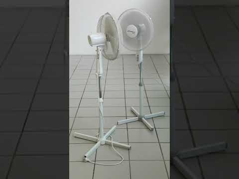 con te partirò 2020 matteo visentin