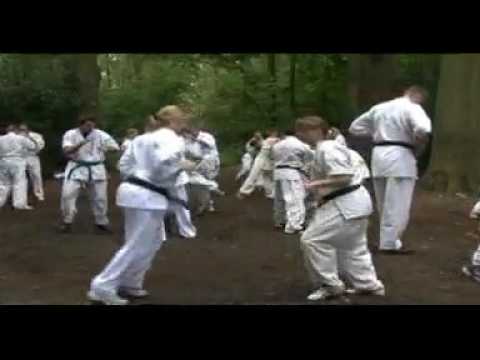 AIKO - Ashihara International Karate Organisation