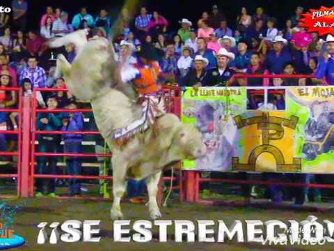 Regresó El Sinaloense video