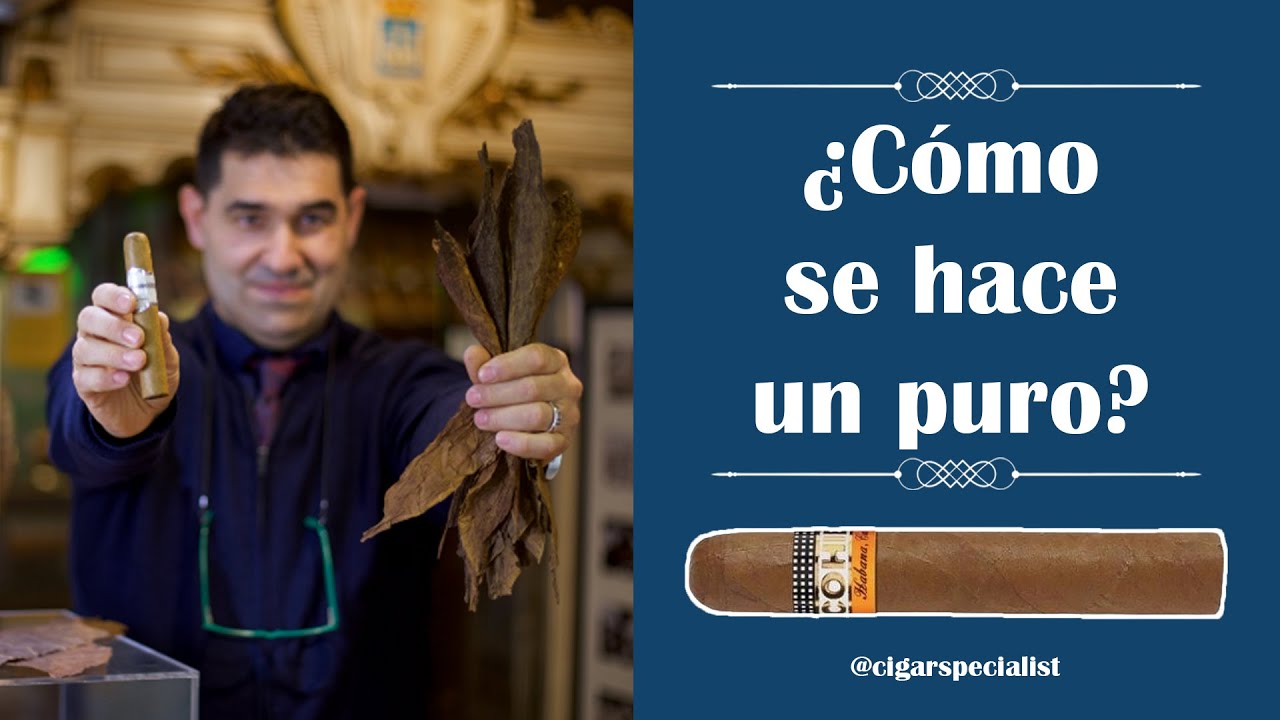 🌿 Cómo HACER un PURO con hojas de TABACO || PROCESO COMPLETO || Cigar Specialist