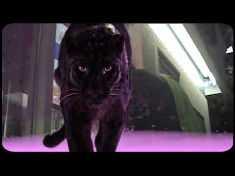 Kuroh - 5. Pantera (feat. Saint Cattiveria) (Prod. Savage Kreamly)