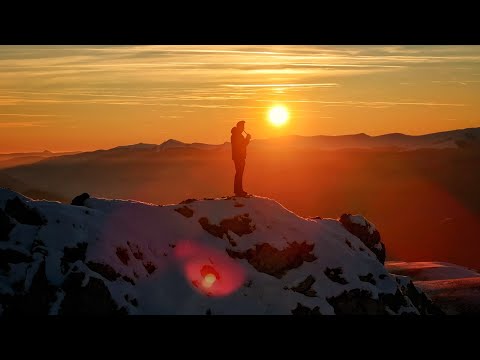 JIana de la Polovragi