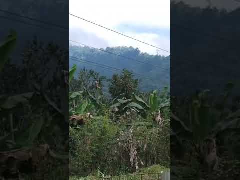 Wonderful Ecuador. Places of Ecuador:  Chimborazo, Caluma, San Miguel de Bolívar.