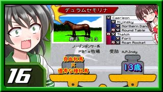 【ダービースタリオン99ゆっくり実況】第16話「ハイリスクハイリターン？」
