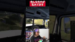 居眠りアカン！#americantrucksimulator