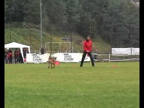 Sabine Bruns @ Crazy - Dogfrisbee EC 2008