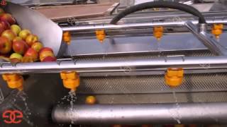 Washing and Peeling Machine from Lucy  0086 18539906719 1