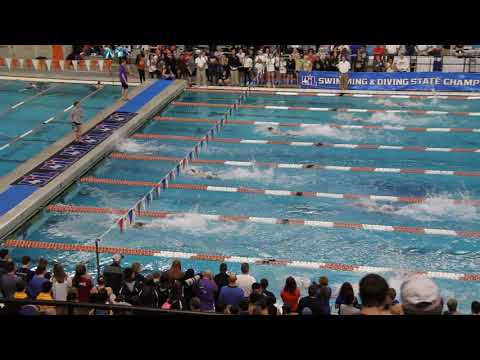 Georgetown Rebreaks Own 5A State Record | Boys 400 Free Relay A Final | 2019 UIL 5A State