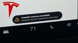 2017-2023 Model 3 & 2020-2026 Model Y Fender Trim: Camera, Paint ...