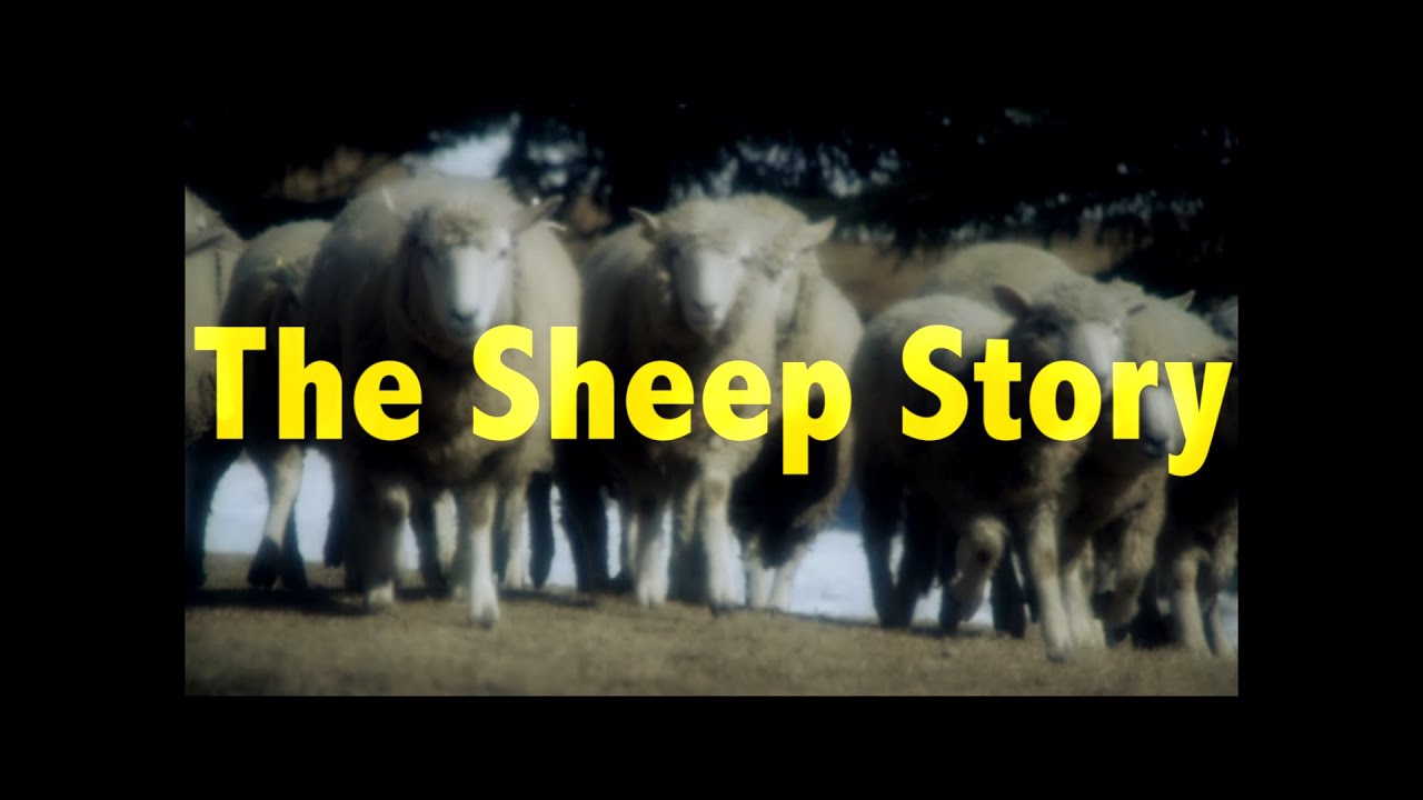 "The Sheep Story" teaser trailer / Hitsuji Monogatari