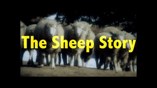 "The Sheep Story" teaser trailer / Hitsuji Monogatari