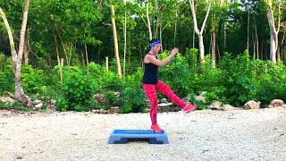 15 Minutes Step on a Reebok Step with SanFran Fitness