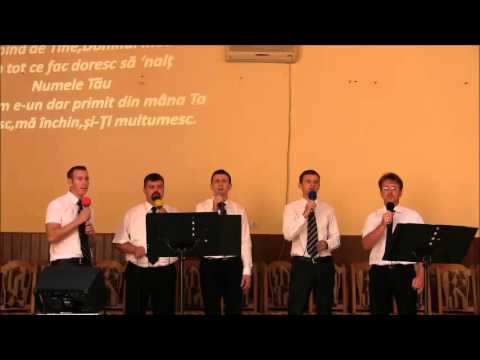 20 septembrie 2015 - Micăsasa