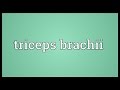 Triceps Brachii Meaning