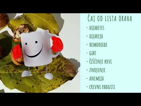 OD LISTA ORAHA - čak i ČISTI KRV, crevne parazite, HEMOROIDE