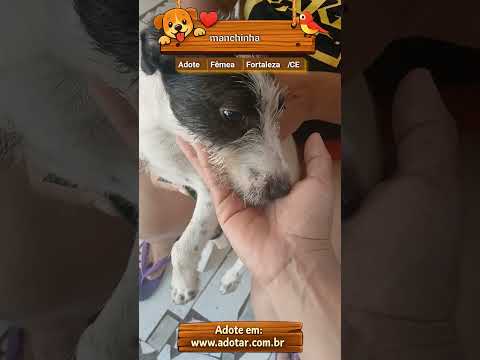 Vídeo de manchinha 