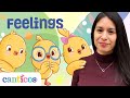Canticos NEW Feelings Book Book Reading With Bilingual Educator Sophia Espinoza