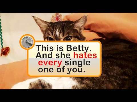 Awkward Animal Photos That Are Impossible To Unsee