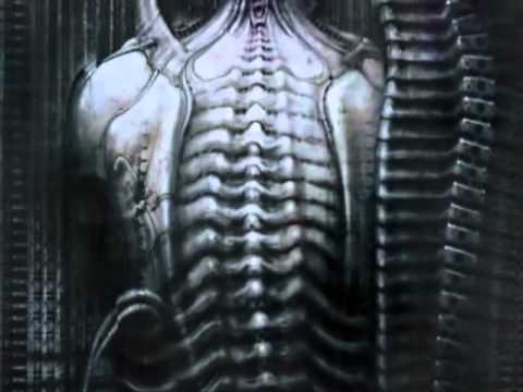 Digital Mantra - Irritum Acceptus