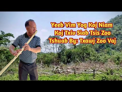 Raj Nplaim Tshuab by Txawj Zoo Vaj