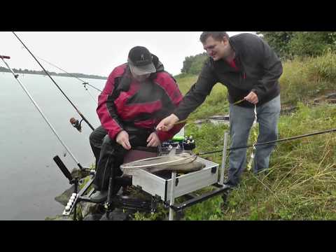 Feedern an der Donau auf Rußnasen und Brassen