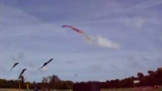 preview picture of video '25 Flexifoil Stackers At Brighton Kite Festival'