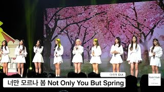 다이아 DIA[4K 직캠]너만 모르나 봄 Not Only You But Spring@170419 Rock Music