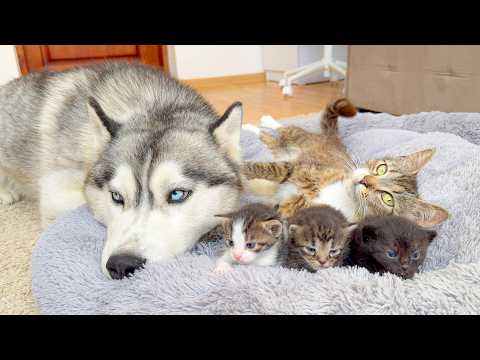 YouTube 썸네일