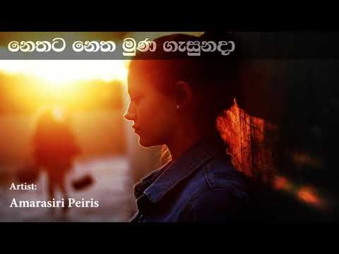 Nethata Netha Muna Gasuna Da නෙතට නෙත මුණ ගැසුනදා නුඹ නොදැක්කා සේ ගියානම් | Amarasiri Peris