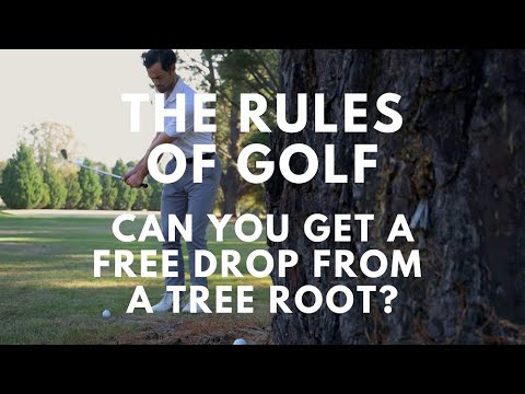 Golf Rules: Can You Get a Free Drop if Your Golf Ball is on a Tree Root?