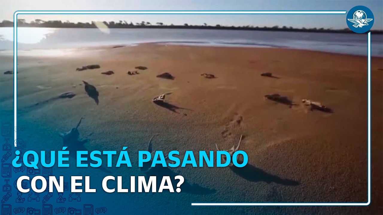 El Niño y cambio climático elevan el riesgo de fenómenos extremos