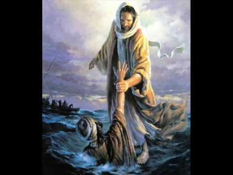 Pokój i dobro - Krzew winny