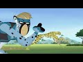 SIGLE TV Wild Kratts 2010 Ongoing 4K UHD 2160p60