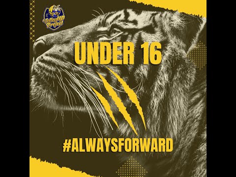 Under 16🔸ALEMATIC BUGGIANO vs MONTEBIANCO VOLLEY