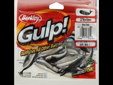 Gulp Minnow Review