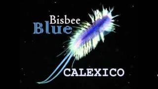 Bisbee Blue Music Video