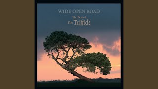 Too Hot To Move, Too Hot To Think