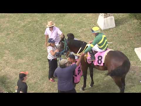 SINT MELO 251129 c10 - PAPILLOTAGE