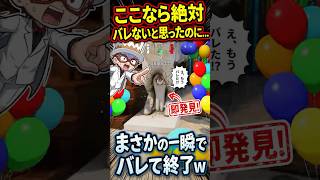 「ここなら絶対バレない」→秒で見つかる男ｗ #めっちゃカメレオン #mecchachameleon