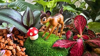 🔥 Magisch! So bauen Sie ganz einfach mit Ihren eigenen Händen ein fantastisches Florarium