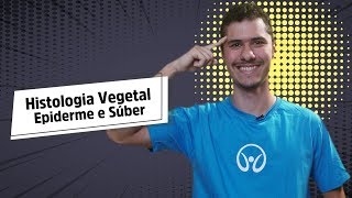 Epiderme e Súber | Histologia Vegetal - Brasil Escola