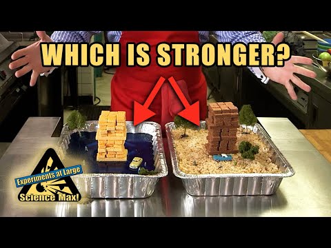 Which Food Is Stronger? | Earthquakes | Cooking with Science | Science Max