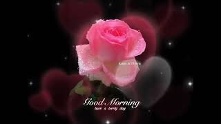 Good Morning Have A Lovely Day gif What’s Up Status Video | Good Morning Images |#goodmorningstatus