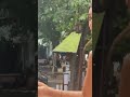 Payal Rajput Hot And Sexy Bollywood Shorts Actress Style