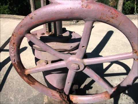 PSYCARNAGE - THE BASTARDS HAVE LANDED VIDEO