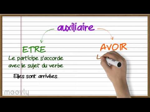 L'accord du participe passé