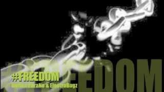DoriAn ParaNo & ElectroBugz - #Freedom (Original mix)